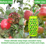 Wasp Traps Outdoor Hanging, Wasp Trap Bee Traps Catcher, Sticky Wasp Trap for Indoor/Outdoor, Effective Insect Trap,Carpenter Bees, Red Wasp & Paper Wasps-2 Pack 4 Sticky Boards(Green)