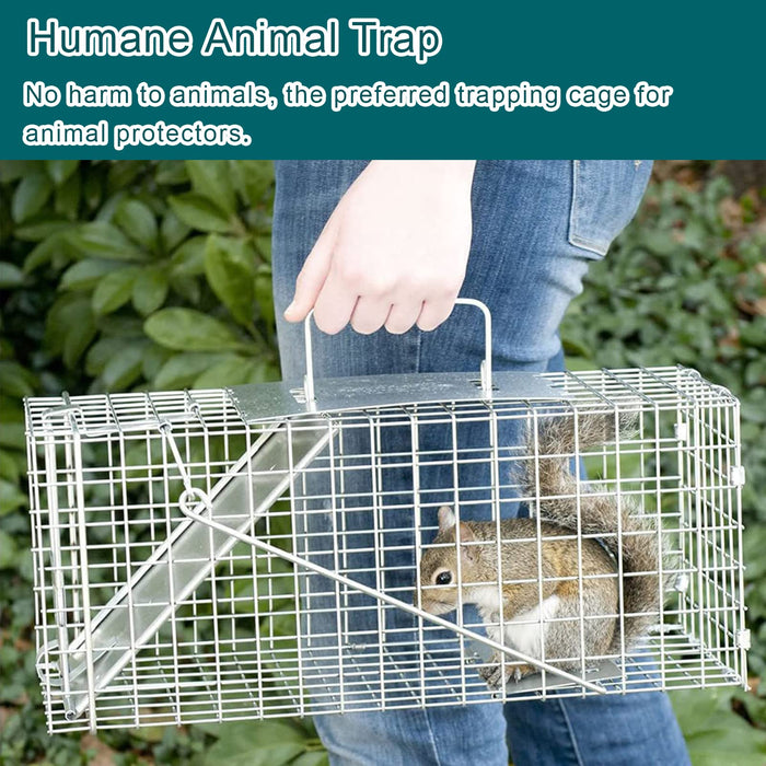 Large 1-Door Humane Animal Trap for Raccoons, Cats, Groundhogs, Opossums, with Metal Guard Handle, 24inch x 7.5inch x 8.3inch