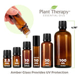 Plant Therapy Top 6 Essential Oil Blends Set 100% Pure, Undiluted, Natural Aromatherapy, Therapeutic Grade 10 mL