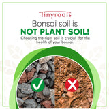 Bonsai Outlet Bonsai Soil Mix - Tinyroots All Purpose Bonsai Soil Mix Ready to Use Blend, Used for All Varieties of Bonsai Trees, 4 Quarts