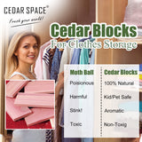 Cedar Space Cedar Blocks for Clothes Storage 16 Pcs, 2 Value Packs 100% Aromatic Red Ceder Blocks, Cedar Planks, Cedar Accessories for Closets Storage