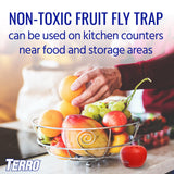 TERRO T2512 Ready-to-Use Indoor Fruit Fly Killer and Trap with Built in Window - 12 Traps + 540 day Lure Supply