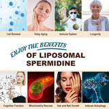 15mg Spermidine Supplement, Liposomal Spermidine 1500mg, Enhanced Absorption with Liposomal Technology, Wheat Germ Extract with Zinc, Thiamin for Cell Renewal, Mitochondria, Longevity, 60 Softgels
