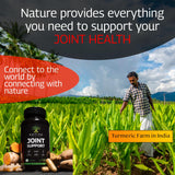 Native Source Joint Support Supplement - Turmeric - Tamarind - Boswellia - Fenugreek - All Natural Extracts 4 Day Rapid Results - 30 Day Supply