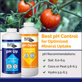 Bloom City Professional pH Up + Down Control Kit for Optimal Nutrient Uptake (Two 1 Quart Bottles) 64 Total oz