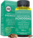 Pycnogenol 100mg from French Maritime Pine Bark Extract Capsules - Healthy Blood Circulation Supplements, Antioxidant Protection, Joint Support and Immune Support - 60 Pycnogenol Supplements