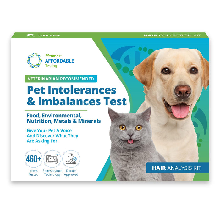 5Strands Pet Food & Environmental Intolerance Test for Dogs & Cats, Nutrition & Metals and Minerals Imbalances - at Home Sensitivity Testing, 481 Items, Results in 5 Days, All Ages and Breeds