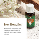 Young Living Eucalyptus Globulus Essential Oil 15ml - Pure & Revitalizing Aromatherapy - Breathe Easy & Refresh Your Senses-Topical & Aromatic-Supports Respiratory Health & Natural Well-Being Journey