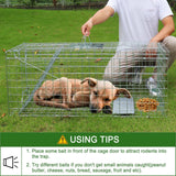 Large Live Cage Animal Trap for Foxes 42.5" X15 X17 Large Animal Trap, Safe Traps for All Animals,Collapsible Large Animal Catcher Cage for Large Dogs, Foxes,Coyotes,Humane Catch & Release