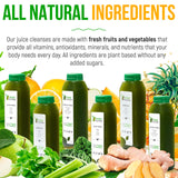 Raw Fountain 5 Day Green Juice Cleanse, All Natural Raw, Vegan Detox, Weight Management Program, Cold Pressed Juices, 30 Bottles 12oz, 5 Ginger Shots