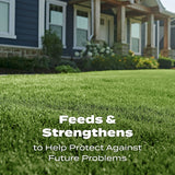 Scotts Turf Builder Lawn Food - Fertilizer for All Grass Types, 5,000 sq. ft., 12.5 lbs.