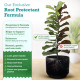 Houseplant Resource Center - Root Supplement, Liquid Root Stimulator - for Fiddle Leaf Fig & Indoor Plants - Propagation Promoter, Root Rot Treatment - Food for Healthy Roots, Stems, & Leaves - 8 Oz