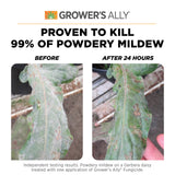 Grower's Ally Fungicide for Plants | Plant Fungicide Treatment Control for Powdery Mildew, Fungus and More - Trusted by Cultivators for Indoor & Outdoor Use, 128 oz Concentrate