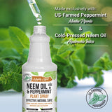 Neem Oil & Peppermint Cold-Pressed, Natural Plant Spray, 16oz