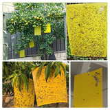 30 Pack Yellow Sticky Traps Fruit Fly Trap, Double-Sided Fungus Gnat Trap Insects Pest Killer for Outdoor Indoor