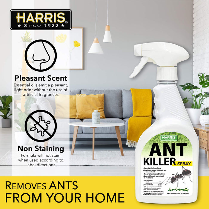 Harris Ant Killer Spray, 20 oz for Indoor and Outdoor Use