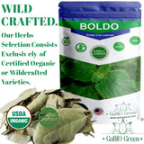 Boldo Dried Leaves, whole Boldo Leaf, 100% Natural Detox 1 pound /16 oz, Hojas De Boldo, Peumus Boldus Herbal Tea, Boldo Tea, Packaged in The USA (1Pound)