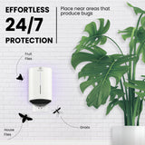 Flying Insect Trap Indoor, Plug-in Fruit Fly Trap, Insect Catcher for Home, Fly Traps for Mosquitos,Gnats,Moths,Houseflies, Fly Bug Zapper with UV Light, Mosquitos Killer (2 Devices + 12 Glue Cards)