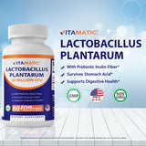 Vitamatic Lactobacillus Plantarum - 20 Billion per DR Capsule - 60 Count - Digestive Support - Made with Prebiotic Inulin Fiber