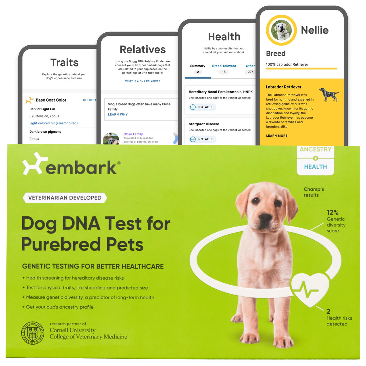 Embark Purebred Kit - Dog DNA Test - Health, Traits, Genetic Diversity