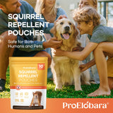 ProElobara Squirrel Repellent Chipmunk Deterrent: Squirrel Deterrent Repellent - Chipmunk Rodent Repellent - Squirrel Repellent Indoor 10 Pack