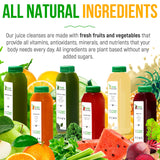 5 Day Juice Cleanse by Raw Fountain, Tropical Flavors, All Natural Raw, Cold Pressed Fruit and Vegetable Juices, Detox Cleanse, 30 Bottles 12oz, 5 Bonus Ginger Shots