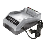 Snow Joe + Sun Joe CERTIFIED AUTHENTIC iCHRG40 EcoSharp Lithium-Ion Battery Charger, 40 Volt, Gray