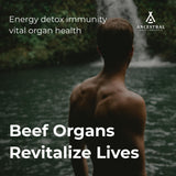 Ancestral Supplements Beef Organs and Stack Variation (Organs Starter Pack)