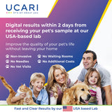 UCARI Pet Sensitivity & Intolerance Test Kit for Dogs & Cats: 1000+ Environmental & Pet Food Intolerance Screening | Noninvasive Home Testing | 48hr Results