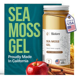 Biolore Sea Moss Gel Apple-Cinnamon 16Oz Made in USA Supercharge Your Health Raw Wildcrafted Irish Seamoss - Essential Vitamins & Minerals - Antioxidant-Rich Vegan Superfood for Immune Suppot