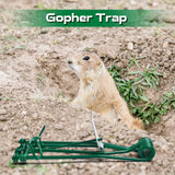 Qualirey 24 Pcs Outdoor Gopher Trap Easy Set Mole Trap Weather Resistant Gopher Killer Vole Trap for Lawn Garden Farm (Green)