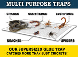 MaxGuard Extra Large Cricket Traps (8 Traps) | Non-Toxic Extra Sticky Glue Board Pre-Baited Cricket Attractant Trap & Kill House Crickets, Insects, Spiders, Bugs