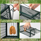 Humane Rat Trap Chipmunk Rodent Trap Mouse Trap Squirrel Trap Small Live Animal Trap Mouse Voles Hamsters Live Cage Rat Mouse Cage Trap for Mice Easy to Catch and Release (Green,2 Pcs)