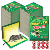 48 Pack Mouse Glue Traps Large Size Mouse Traps Sticky Pad with Enhanced Stickiness Mouse Rat Sticky Traps Board for Rodent Cockroach and Other Insects House Indoor Outdoor