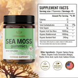 HERBAMAMA Sea Moss Gummies - Wildcrafted Sea Moss Supplement, Immune, & Thyroid Support, Irish Seamoss and Bladderwrack - 90 Vegan Gummy