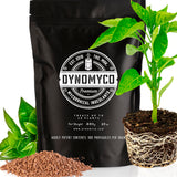 DYNOMYCO Premium Mycorrhizal Inoculant - Root Enhancer/Stimulator - Mycorrhizae for Plants - Concentrated Mycorrhizal Inoculant - Supreme myco strains - Treats up to 68 Plants! (340 g / 12 Oz)