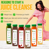 3 Day Protein Juice Cleanse by Raw Fountain, All Natural Raw Detox Cleanse, Cold Pressed Fruits, Vegetables, Vanilla and Chocolate Flavor, Tasty and Energizing, 18 Bottles 12oz, 3 Ginger Shots