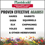 Plantskydd Animal Repellent - Repels Deer, Rabbits, Elk, Moose, Hares, Voles, Squirrels, Chipmunks and Other Herbivores; Soluble Powder Concentrate - 2.2 LB Box - Makes 2.5 Gallon Liquid (PSP-R2)