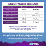 KloudAway Freshwater Aquarium Water Clarifier - Clears Cloudy Water, Water Clarifier for Fish Tank, Made in USA, Aquatic Experts (1 Pack)