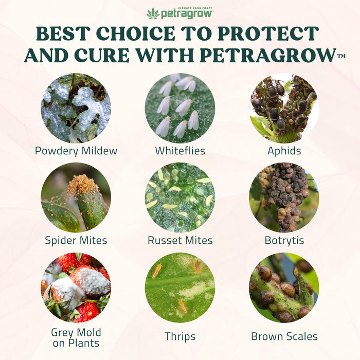 PetraGrow Crop Defender Leaf Guard Super Concentrate Pesticide, Miticide, Plant Fungicide, Insecticide for Indoor Plants, Spider Mite Spray, Powdery Mildew Spray for Plants - 16oz