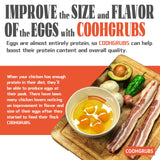 COOHGRUBS 2-lb Dried Black Soldier Fly Larvae Chicken Treats, High Protein Calcium Rich BSF Larvae Snacks for Hens Ducks