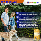 Pet Test Strips for Dogs, Cats, and Other Animal Pets. Accurate Urine Monitoring and Testing Kit That Helps Veterinarian Tests for Blood, Glucose, pH, Specific Gravity, UTI, Liver and Kidney Health.