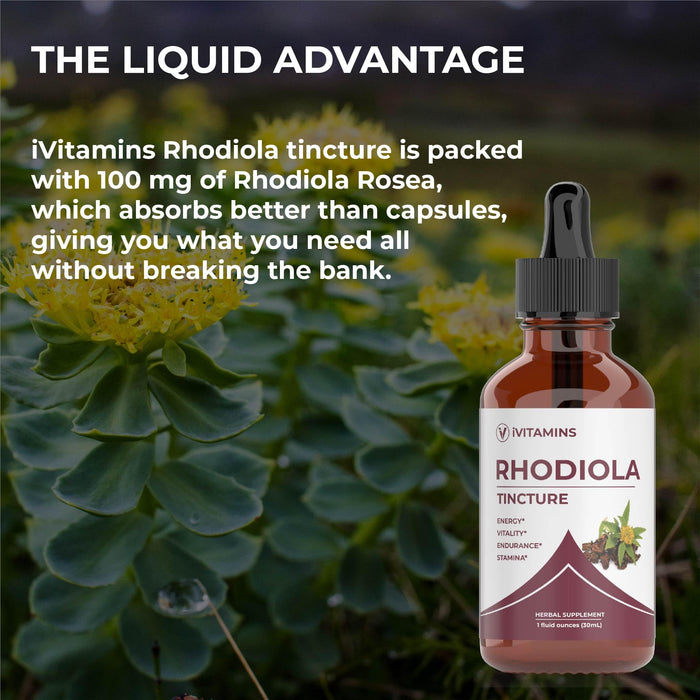 Rhodiola | Rhodiola Rosea | Rhodiola Supplement | for Brain, Energy, Stamina, Stress, & Mood Support | Energy Supplements | Rhodiola Rosea Supplement | Rhodiola Tincture | (1oz: 1 Pack)