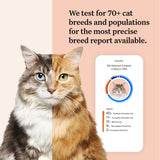 Wisdom Panel Complete: Comprehensive Cat DNA Test kit for 45 Health Genetic Health Conditions, 70+ Breeds and populations, 25+ Traits, Blood Type - 1 Pack