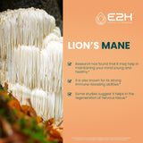 Lions Mane Liquid - Lion Mane Mushroom Supplement - Promotes Mental Clarity, Memory & Focus - Lions Mane Mushroom for Immune Support - Non-GMO, Vegan (2 Bottles) by E2H