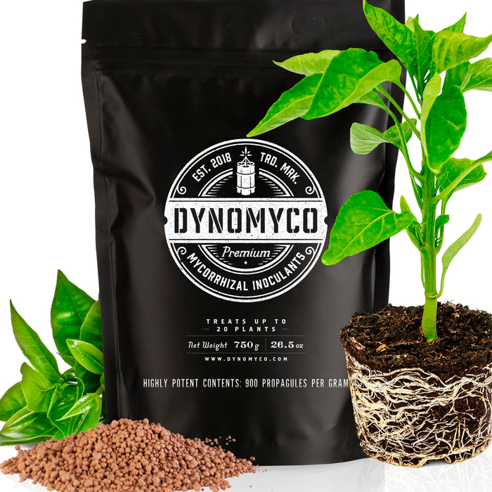 DYNOMYCO Concentrated Premium Mycorrhizal Inoculant - Root Enhancer/Stimulator/Booster - Mycorrhizae for Plants for Healthier, Stronger & Larger Roots - Supreme myco strains - Treats 150 Plants!