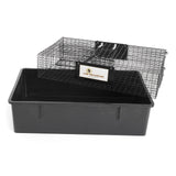 Rugged Ranch RATTR Ratinator Live Rat Chipmunk Squirrel Mouse Rodent Small Animal Metal Wire 2 Door Trap Pest Control Cage, Black (4 Pack)