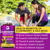 B BEWORTHS Elderberry & Sea Moss Gummies, Organic Black Sambucus Elderberry with Zinc and Vitamin C, D3 for Adults & Kids, Elderberry Gummy Vitamin Supplements for Immune & Energy Support - Vegan