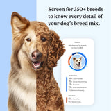 Wisdom Panel Essential Dog DNA Kit: Most Accurate Test for 365+ Breeds, 30 Genetic Health Conditions, 50+ Traits, Relatives, Ancestry - 2 Pack