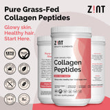 Zint Collagen Peptides Powder (16 Ounce): Anti Aging Hydrolyzed Collagen Protein Powder Beauty Supplement - Skin, Hair, Nails